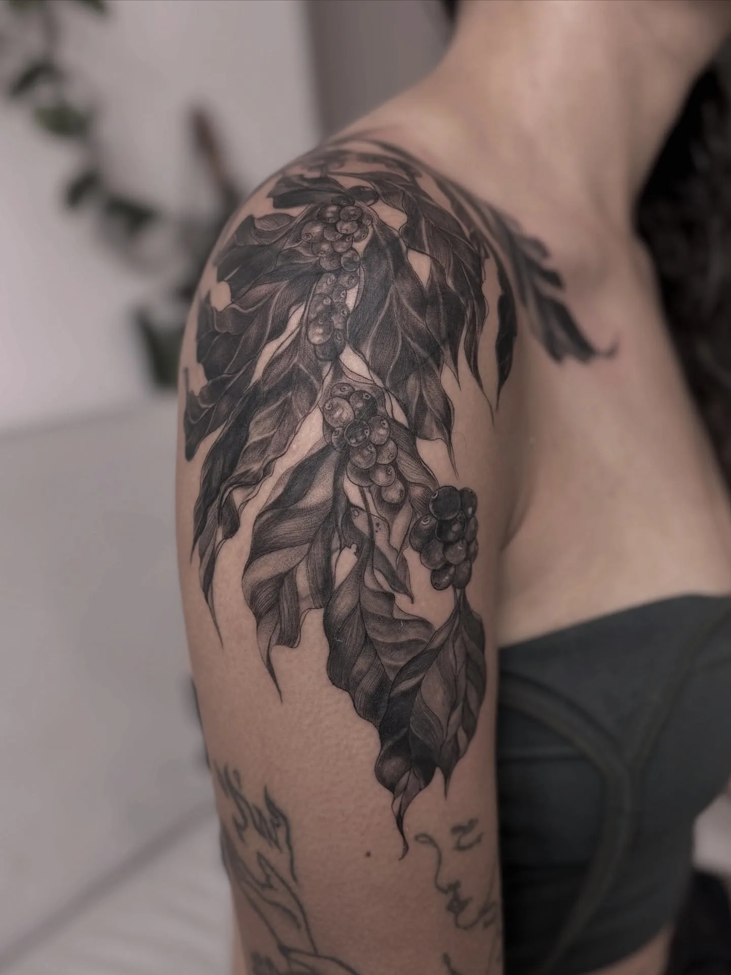 Herencia Botánica - Botánico Realista / Black and Grey